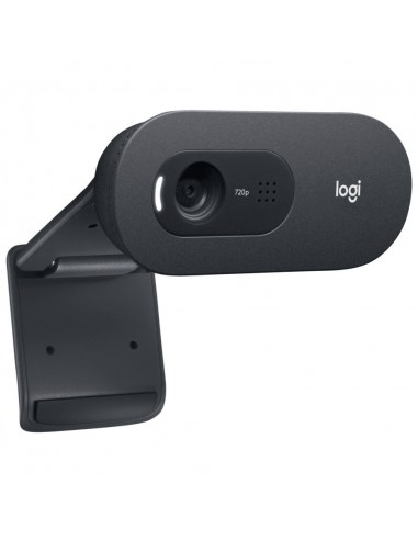 Logitech - Webcam C505 HD