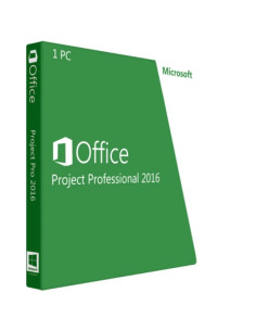Project 2016 Professional 2